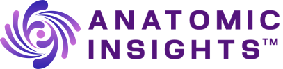 Anatomic Insights